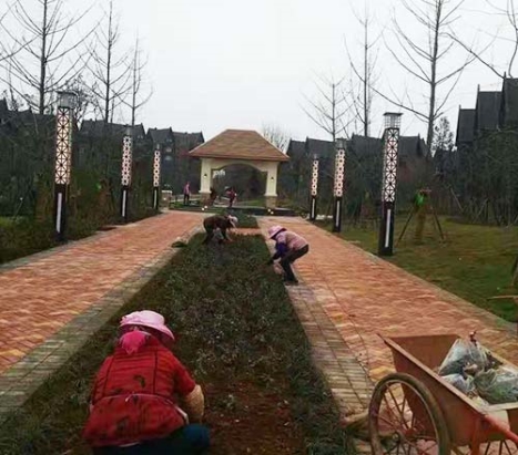 嵩明嘉麗澤濕地景觀(guān)燈案例